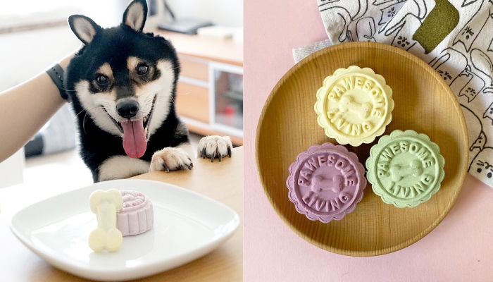 中秋節寵物月餅2021丨Pawesome Living : 寵物冰皮月餅中秋節除了要人月兩團圓之外，當然也不能忘了心愛的毛孩！繼上年大獲好評之後，Pawesome Living在今年就再度推出「Paw